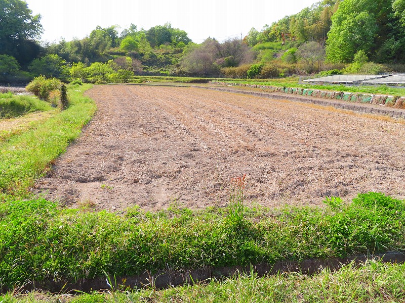 矢掛1604番地・矢掛1605番地